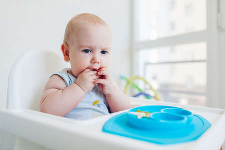 Little infant baby eating with hands sitting in chair at home. Kid tastes fruits from plastic plateの写真素材