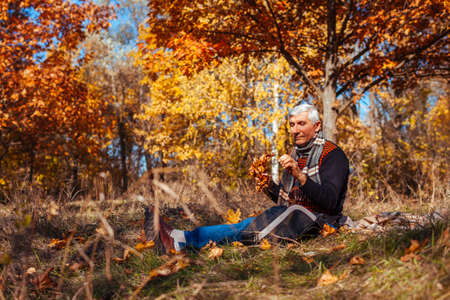 Senior alone man sitting in park picking yellow leaves. Retired man relaxing outdoors enjoying autumn natureの写真素材