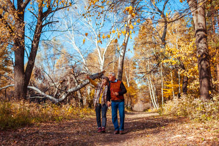 Autumn walk. Senior couple walking in fall forest. Happy man and woman talking and relaxing outdoorsの写真素材