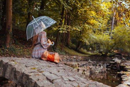 Sad young woman sitting on bringe by pond in autumn park under transparent umbrella during rain. Fall season walk. Seasonal weatherの写真素材