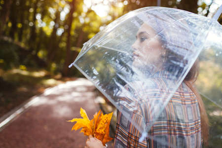 Portrait of young woman walking in park with transparent umbrella holding leaves. Fall season accessoriesの写真素材