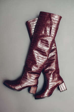Over the knee boots, stylish burgundy reptile skin leather shoes for women. Female fashion. Trendy footwear on grey background.の写真素材