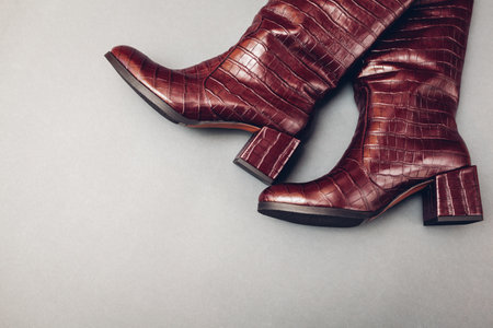 Square heels boots, stylish burgundy reptile skin leather shoes for women. Female spring fashion. Trendy footwear on grey background. Spaceの写真素材