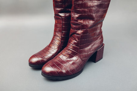 Shoes, stylish burgundy crocodile skin leather boots for women. Female spring fashion. Trendy footwear on grey background.の写真素材