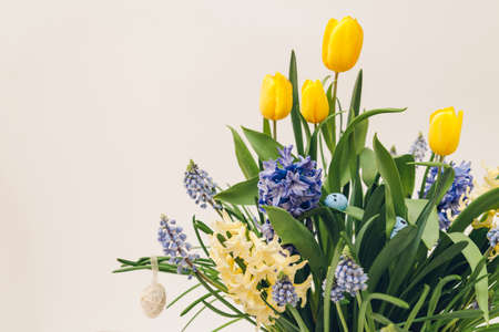 Easter composition of spring flowers with eggs. Yellow tulips, hyacinths, blue muscari grow in pot on white background. Holiday decoration.の写真素材