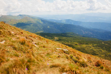View of panoramic summer mountain landscape in Carpathians from Hoverla. Natural field meadow background with lakesの写真素材