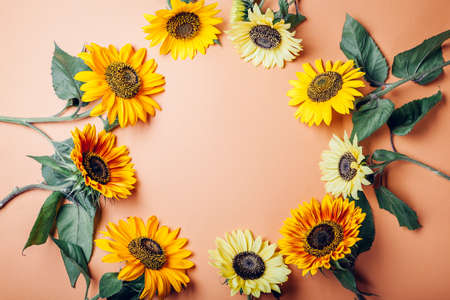 Bunch of yellow orange lime sunflowers put in circle on background. Group of fall summer flowers. Top view. Spaceの写真素材