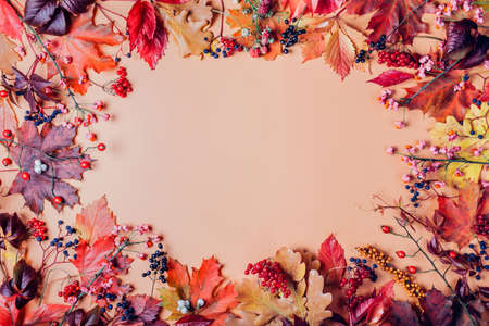Fall background made of red yellow brown orange leaves and berries. Autumn floral design decor. Space. Top viewの写真素材