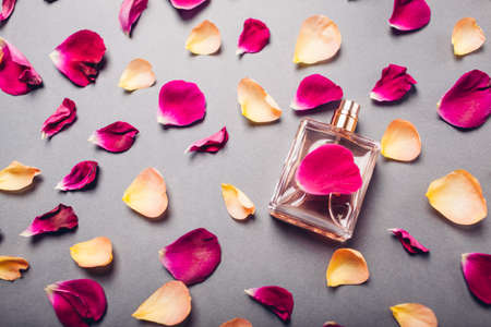 Bottle of perfume surrounded with pink and orange rose petals. Flower fragrance n grey background....