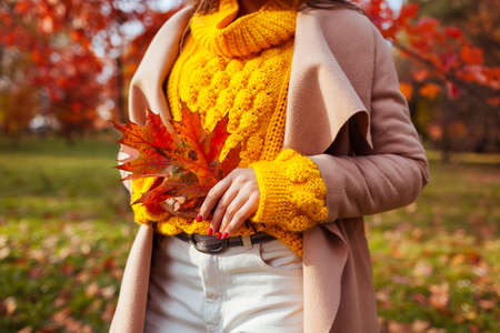Close up of stylish woman holding picked red leaves wearing yellow sweater, beaige coat in autumn park. Fall female clothes. Fashionの写真素材