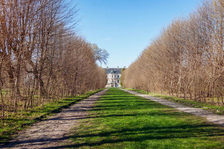 View of castle in autumn park through alley in Pidhirtsi, Ukraine. Famous tourist landmark in fall. Ancient architecture surrounded with bare treesの写真素材
