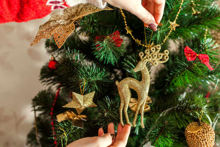 Woman decorating Christmas tree with golden deer ornament at home, wearing winter sweater. Preparing to New year. Closeup of reindeerの写真素材