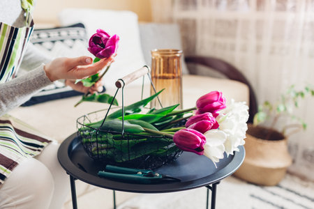 Woman making tulips flower arrangement on table at home. Fresh purple and white blooms picked up in basket. Interior and spring decorの写真素材