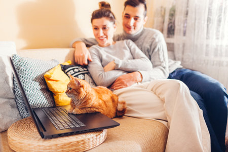 Family couple watching video with cat using laptop at home. Ginger pet sitting on couch looking at screenの写真素材