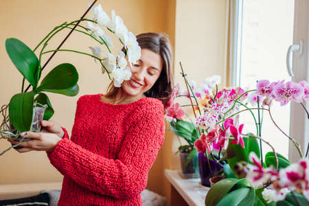 Happy woman smelling blooming white orchid holding pot. Girl gardener taking care of home plants and flowers.の写真素材