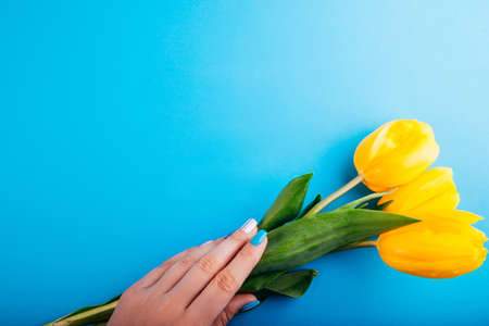 Yellow spring tulips on blue background. National ukrainian flag colors. Stand with Ukraine. Independence day. Space mockupの写真素材