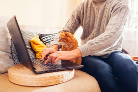 Working online from home with pet using computer. Man typing on laptop with ginger cat looking at screen. Communicationの写真素材