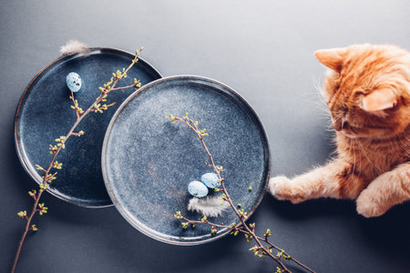 Cat playing with Easter eggs on dishes decorated with feathers and spring branches. Ceramic plate on grey background. Pet having funの写真素材