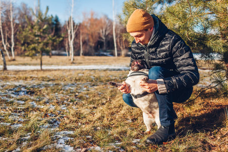 Man walking pug dog in snowy winter park. Master playing with pet holding it on hind legs. Outdoor activities with animalsの写真素材
