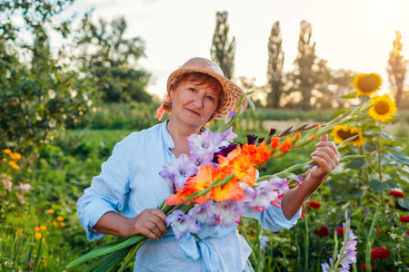 Portrait of happy gardener holding fresh gladiolus flowers harvested in summer garden. Senior woman picked blooms grown organicallyの写真素材