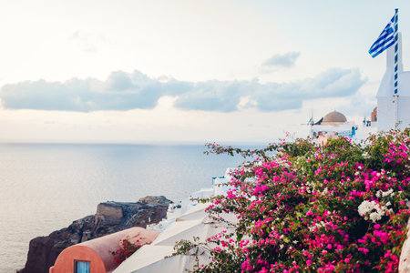 Santorini island Oia landscape. Traditional white houses and greek flag with sea and flowers view. Travel to Greece.の写真素材