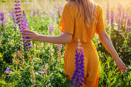 Woman walking in blooming lupin flowers on summer meadow. Girl in yellow clothes touching blooms. Simple living. Relaxation and mental healthの写真素材