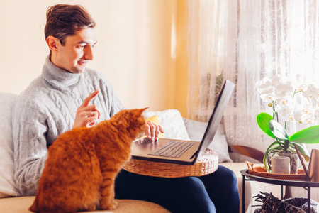 Working online from home with pet using computer. Man typing on laptop while ginger cat looking at screen. Freelance remote jobの写真素材