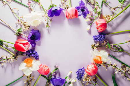Top view of pink purple blue white spring flowers in circle. Tulips, anemones, daffodils blooms. Mothers day. Spaceの写真素材