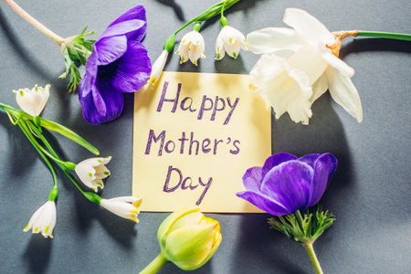Happy Mothers day text note with spring flowers. Greeting card on grey background with white purple bloomsの写真素材