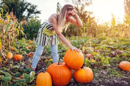 Pumpkin harvest. Portrait of woman farmer picking autumn crop of vegetables on farm. Tired worker puts big pumpkinの写真素材