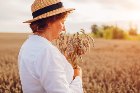 Sad senior woman holding wheat bunch in summer field at sunset. Harvest in Ukraine. Agriculture and farming. Ukrainian symbolの写真素材