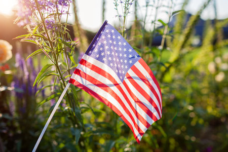 Independence day of USA. American flag put in summer garden by flowers at sunset. July 4th. Memorial day. Close up of national symbolの写真素材