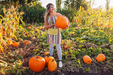 Pumpkin harvest. Young woman farmer picking autumn crop of pumpkins on farm putting of vegetables on...