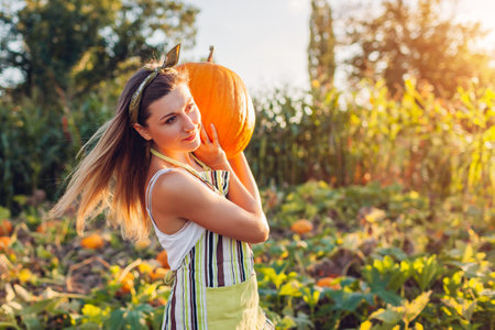 Pumpkin harvest. Portrait of young woman farmer picking autumn crop of vegetables on farm. Worker holds big pumpkin in field at sunsetの写真素材