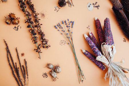 Saving flower seeds mix from garden. Collecting dry seedpods of foxglove veronica lavender ornamental purple corn dahlia nigella. Top view. Flat layの写真素材