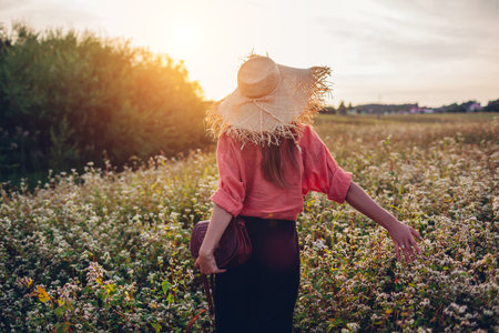 Stylish woman wearing straw hat walking in blooming buckweat field at sunset holding leather handbag. Balance harmony with natureの写真素材