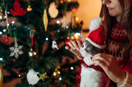 Woman puts Santa's hat on cat by decorated Christmas tree. Celebrating New Year holidays with pet at home feeling festive and cozyの写真素材