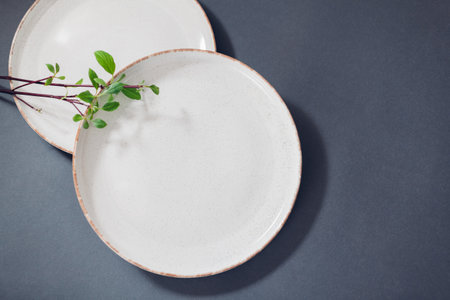 Top view of glazed ceramic tableware on grey background. Set of white spotted dinner plates with green foliage. Spaceの写真素材