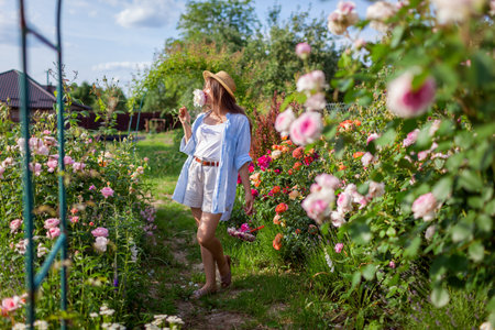 Young gardener walking enjoying fragrant English roses in summer garden after deadheading spent blooms. Woman smells flower holding basket with pruner wearing straw hatの写真素材