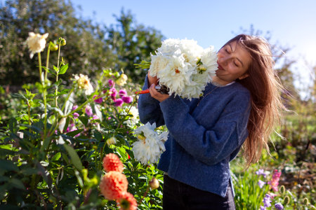 Portrait of woman gardener picking white dinner plate dahlias flowers in autumnal garden. Farmer admires blooms in fall fieldの写真素材