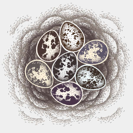 Bird stick nest for greeting card, invitation, banner design. Vector illustration. Quail eggs in nest. Eggs for easter holiday celebration design.のイラスト素材