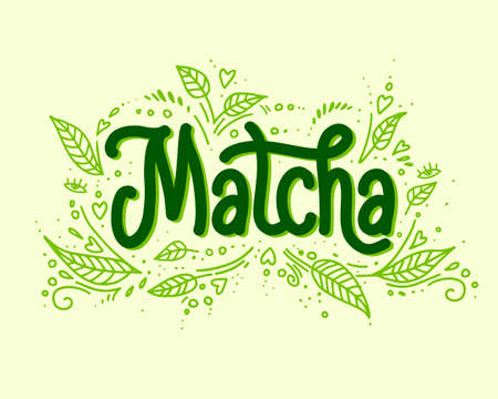 Matcha lettering design with green leaves, tea product. Hand-drawn vector calligraphy. Asian...