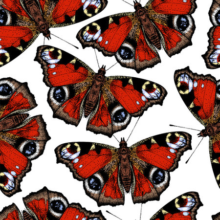 Butterfly Aglais io. Peacocks eye, seamless pattern background. Inachis IO. Beautiful insect. Realistic colored hand-drawn vector, engraving sketch.のイラスト素材