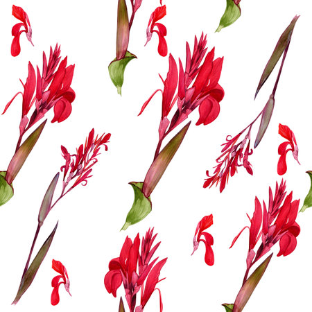 Seamless fashion pattern with watercolor illustrations of a canna lily flower on a white background. Exotic red canna flower and jungle leaves to print on textiles or for backdrop. hand illustration.の写真素材