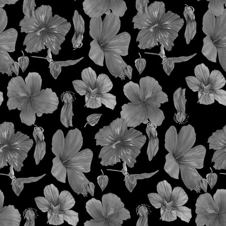 Seamless pattern of hand-drawn watercolor illustrations of Hawaiian hibiscus flowers. Bright tropical flowers on a black background.の写真素材