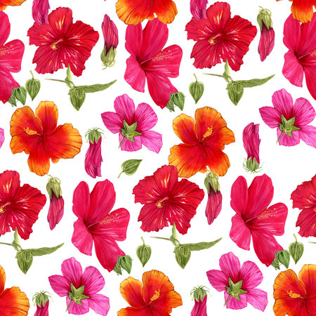 Seamless pattern of hand-drawn watercolor illustrations of Hawaiian hibiscus flowers. Bright tropical exotic flowers on a white background. fashion printの写真素材