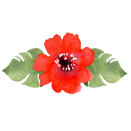 A composition of hand-drawn watercolor illustrations. Red gerbera and tropical leaves. Isolated illustration on white background. Element for designers. For cards, banners, wedding invitations, frames, prints. Hand drawn illustration.の写真素材