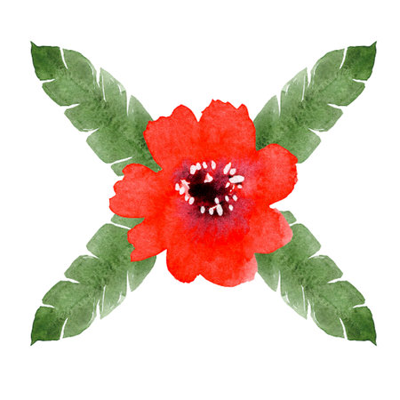 A composition of hand-drawn watercolor illustrations. Red gerbera and tropical leaves. Isolated illustration on white background. Element for designers. For cards, banners, wedding invitations, frames, prints. Hand drawn illustration.の写真素材