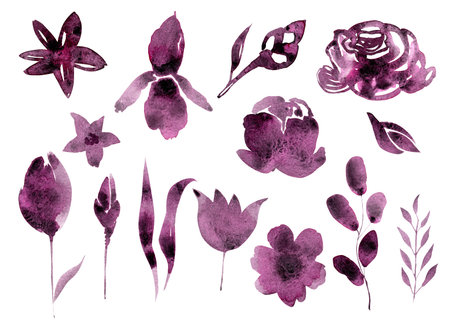 Set of watercolor illustrations of flowers. Purple flowers. Stylish watercolor wedding flower set. Elements are isolated and available for editing.の写真素材