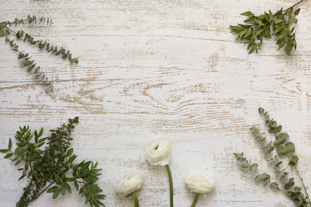 Beautiful ranunculus flowers and herbs on wooden backgroundの写真素材
